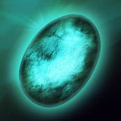 Rare Preservation Stone